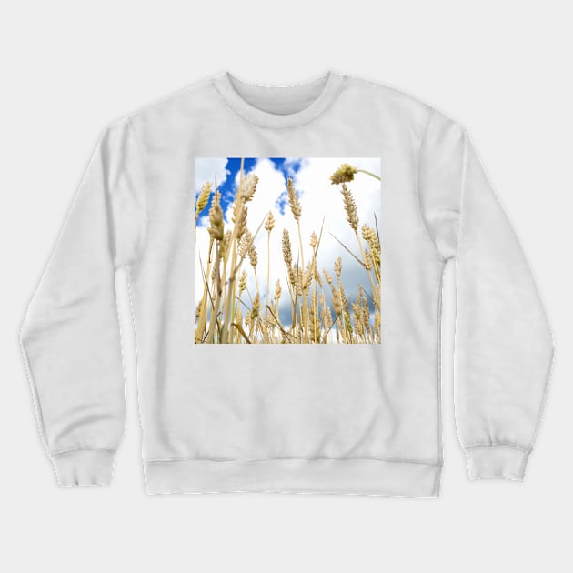 Wheat Crewneck Sweatshirt by ansaharju